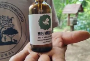 Comunidade indígena peruana produz mel de abelha sem ferrão
