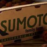 Conheça a fazenda que está salvando frutas raras e sabores esquecidos