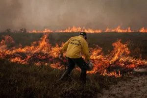Degradação da Amazônia cresce 163% em dois anos, enquanto desmatamento cai 54% no mesmo período