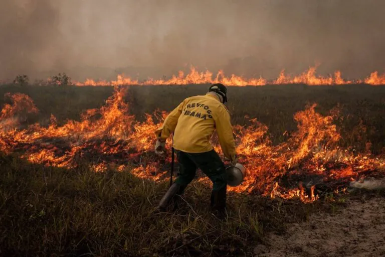 Degradação da Amazônia cresce 163% em dois anos, enquanto desmatamento cai 54% no mesmo período