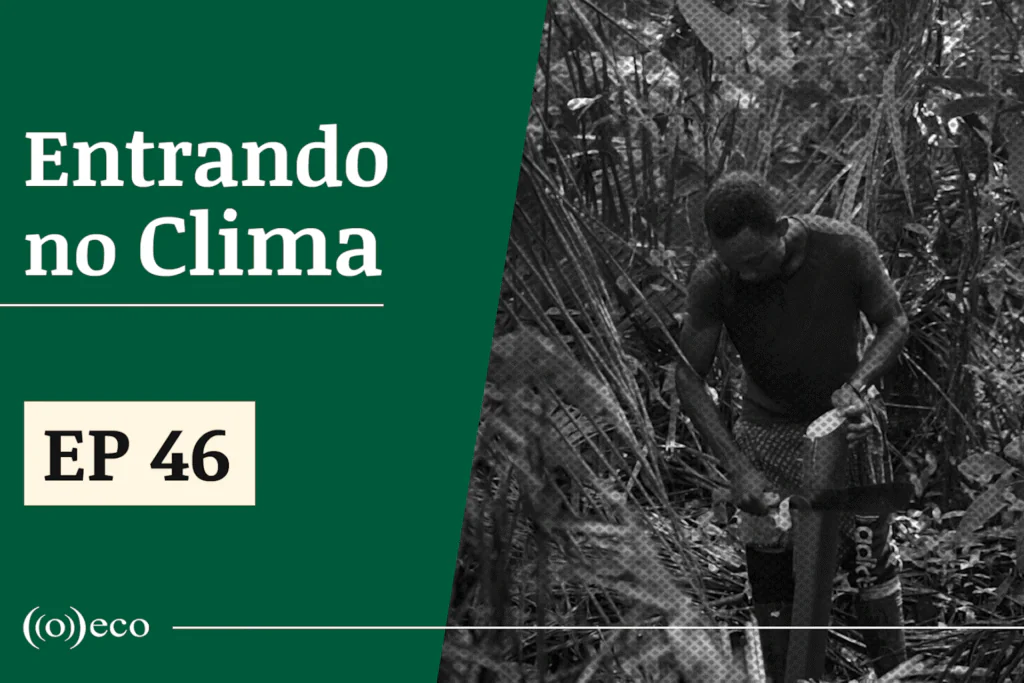Entrando no Clima #46 – Bioeconomia e clima, uma discussão necessária em ano de COP30 
