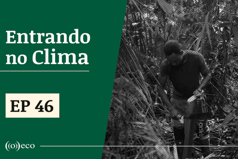 Entrando no Clima #46 – Bioeconomia e clima, uma discussão necessária em ano de COP30 