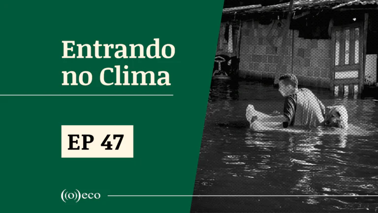 Entrando no Clima #47 – COPs precisam abrir espaço para falar de justiça climática