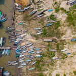 Fiocruz e University Glasgow reúnem pesquisadores em Manaus