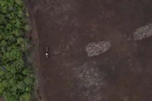 Legalidade de megadesmates no Pantanal avança para julgamento no STJ