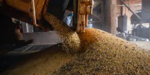 PIB atinge patamar recorde pelo 14º trimestre seguido