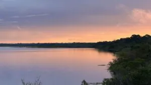 Reserva Extrativista Lago do Cuniã: resistência na Amazônia