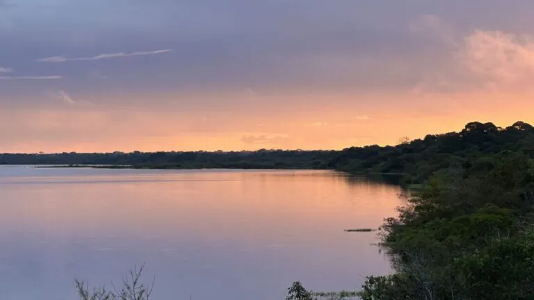 Reserva Extrativista Lago do Cuniã: resistência na Amazônia