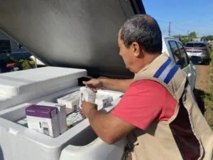 Tafenoquina reduz tempo de tratamento da malária vivax