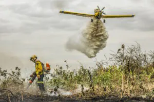 Terras alvo de desmates e incêndios criminosos podem ser expropriadas