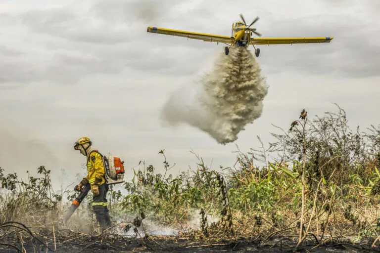 Terras alvo de desmates e incêndios criminosos podem ser expropriadas