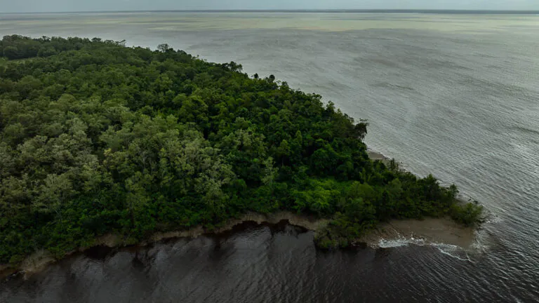 Uma utopia amazônica com ressalvas-2: o perigo para desastres futuros