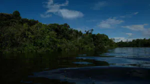 Uma utopia amazônica com ressalvas-3: objetivos e impedimentos para uma utopia amazônica