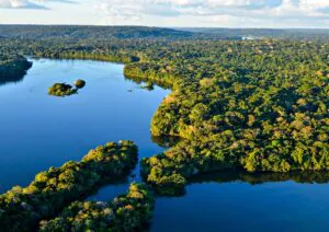 o que é o Código Florestal?