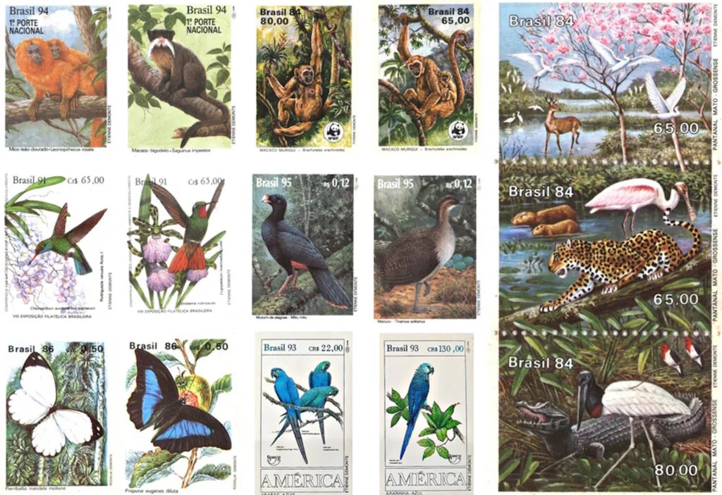 Arte naturalista Demonte – ((o))eco