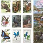 Arte naturalista Demonte – ((o))eco
