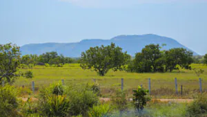 As savanas amazônicas são parte integrante do “bioma” Amazônia brasileiro –1: Introdução e resumo da série