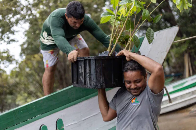 Brasil aposta em mosaicos de conservação para gerir suas vastas florestas