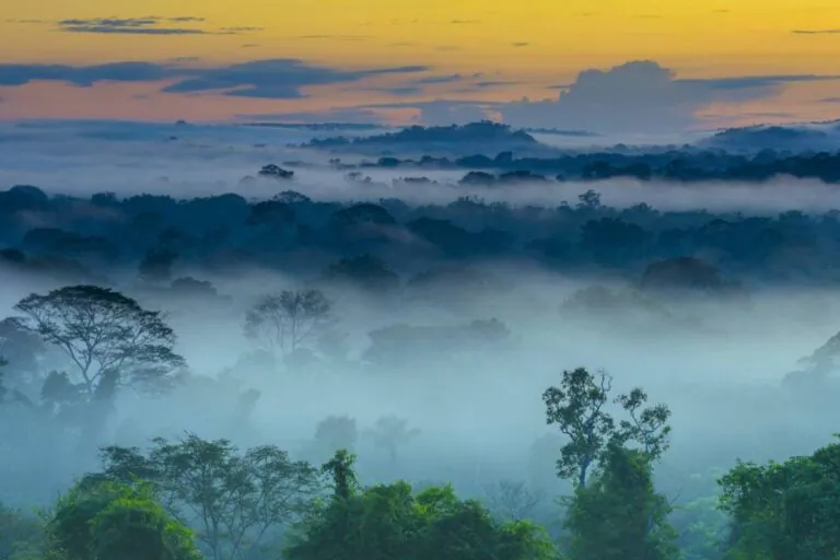 Brazil proposes greater synergy between UN environmental conventions to address global crises