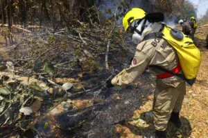 Governo destina R$ 32 milhões para combate a incêndios