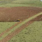 Governo do RS ignora perda anual de vegetação campestre para comemorar a ilusão do Pampa conservado