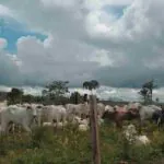 O segredo mais bem guardado da política climática brasileira