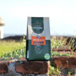 Produção de café de açaí no Amapá reaproveita caroços do fruto