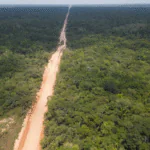 Protected areas along an Amazon highway in sight of land grabbing, deforestation and fire