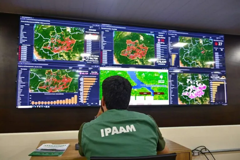 Ipaam registra queda no desmatamento no Amazonas em junho