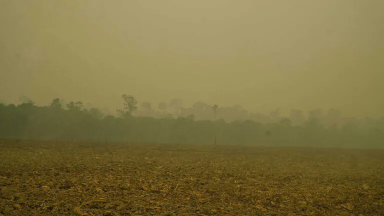 PL da Devastação é aprovado e governo articula veto
