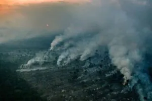 Queimadas ameaçam a resiliência da Amazônia, afirma estudo
