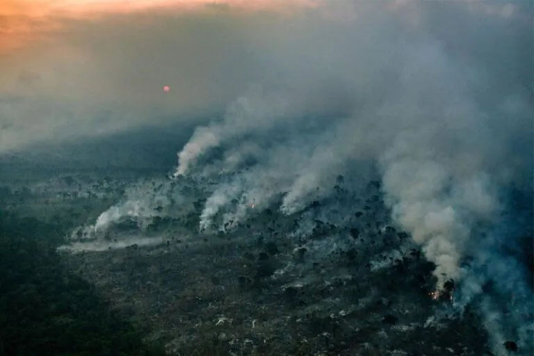 Queimadas ameaçam a resiliência da Amazônia, afirma estudo