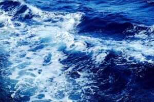 ((o))eco é um dos selecionados para edital Conexão Oceano, com bolsa de R$ 10 mil