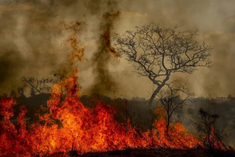 Antes da seca, Cerrado já supera a Amazônia em destruição pelo fogo