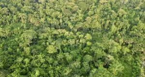 Após 13 anos, Cota de Reserva Ambiental vai começar a vigorar no país