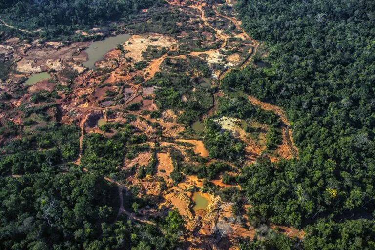How Gold Mining Threatens the Amazon - In a Way, With the State’s Approval