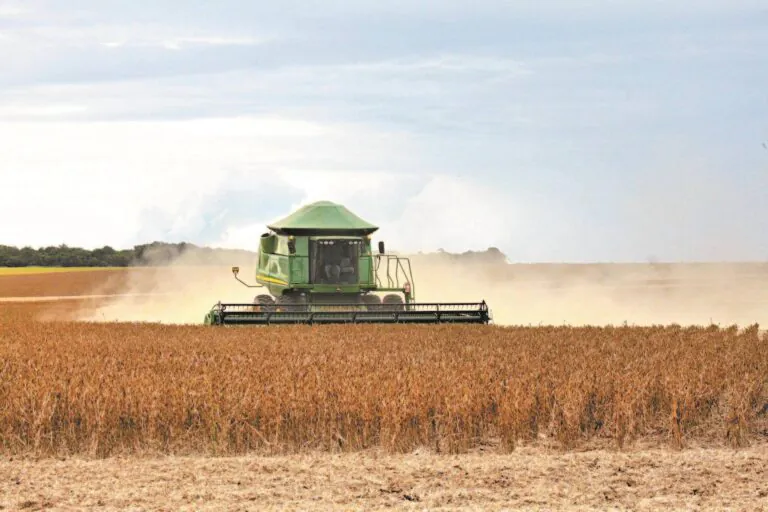 Mesmo com moratória, produção de soja quase dobrou em Mato Grosso