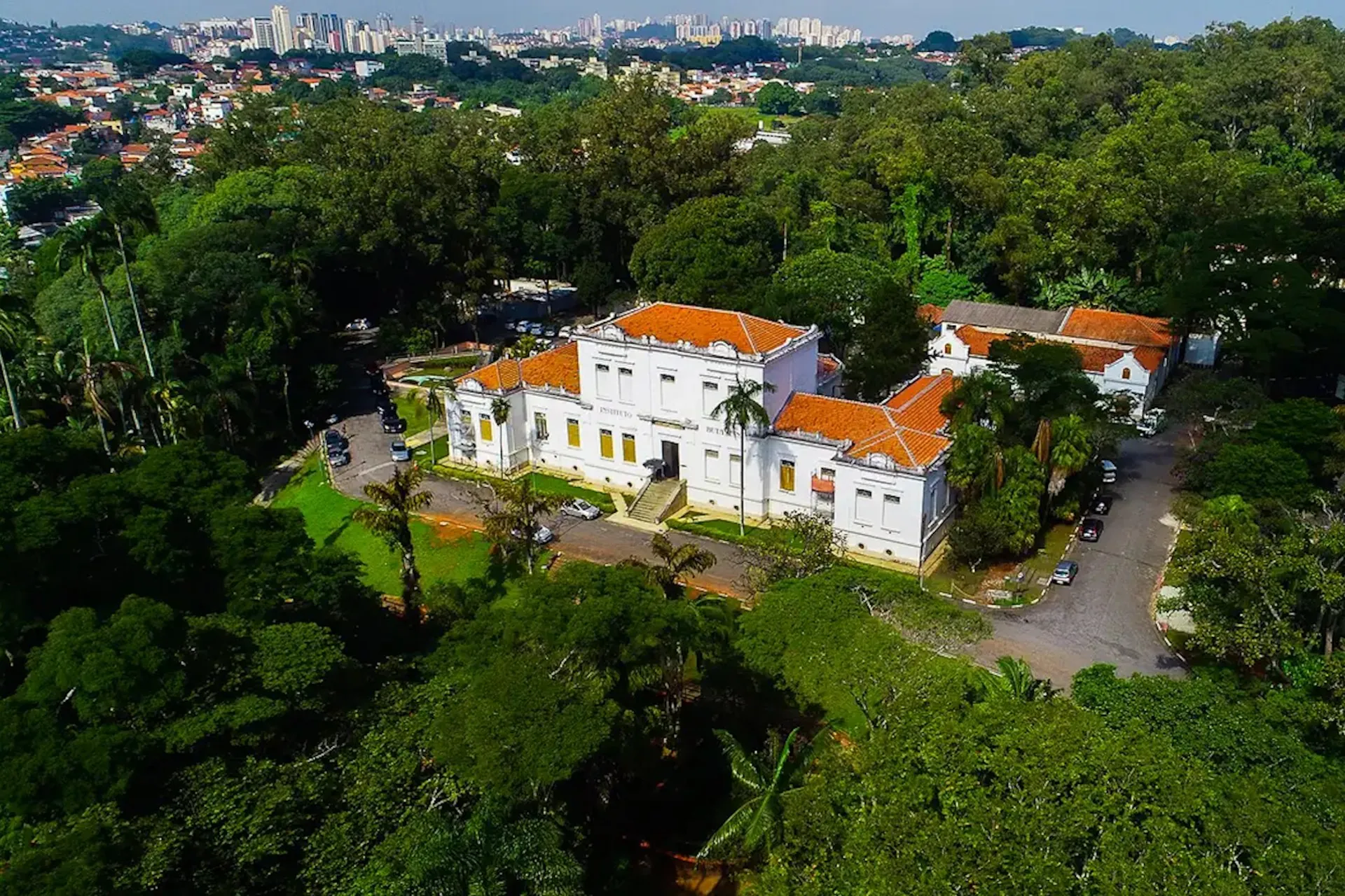 Da picada à pílula: Uma razão a mais para proteger a biodiversidade