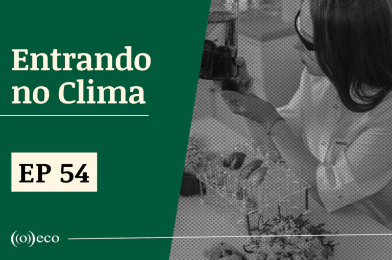 Entrando no Clima #54 – A Ciência na COP30: entrevista com Thelma Krug