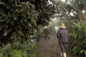 Festival Filmambiente encerra sua 14a edição nesta sexta-feira