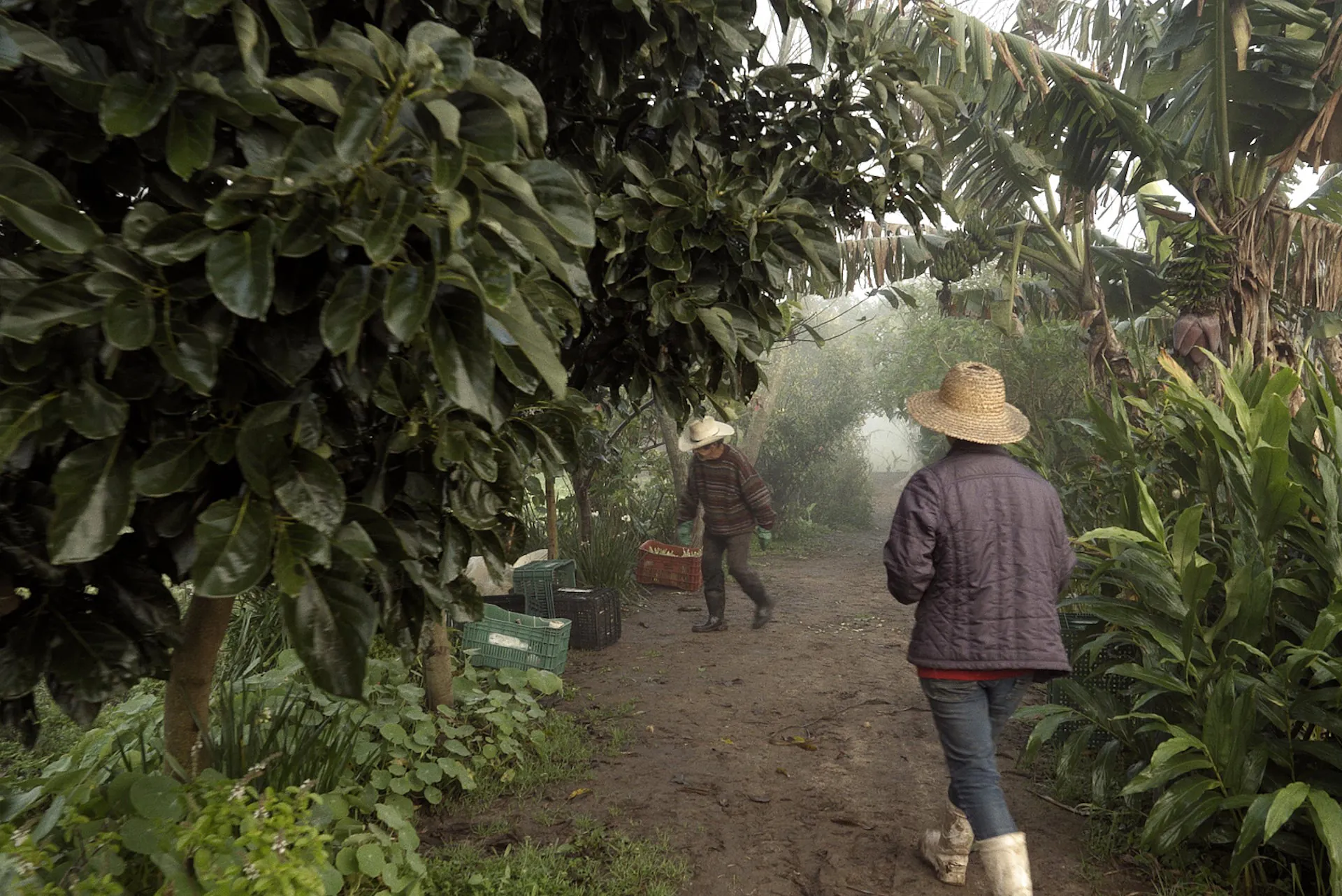 Festival Filmambiente encerra sua 14a edição nesta sexta-feira