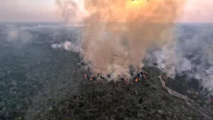 Ignorância estratégica, mudanças climáticas e Amazônia