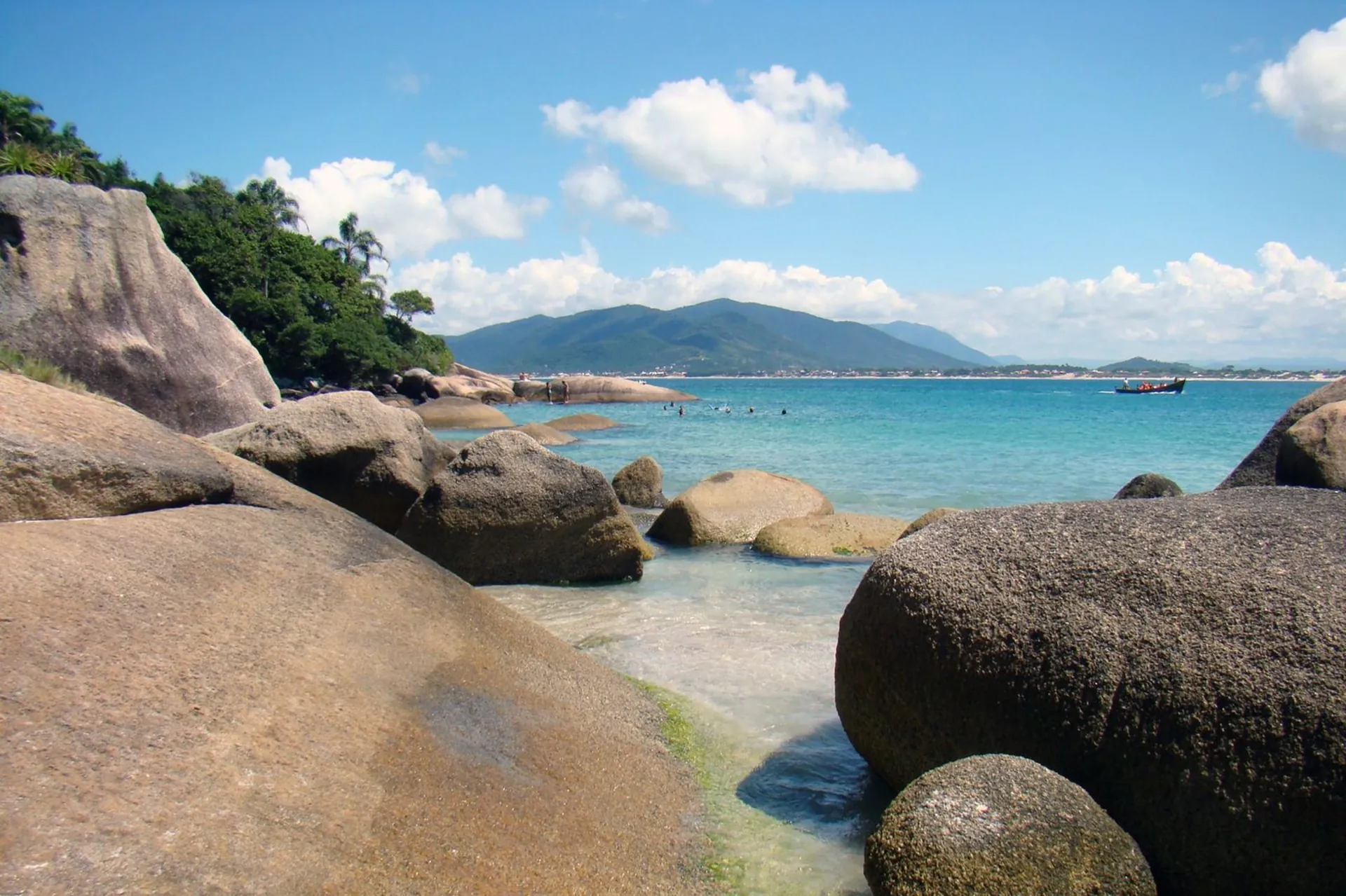 Prefeitura, políticos e cientistas reagem à ameaça de extinção de UCs em Florianópolis