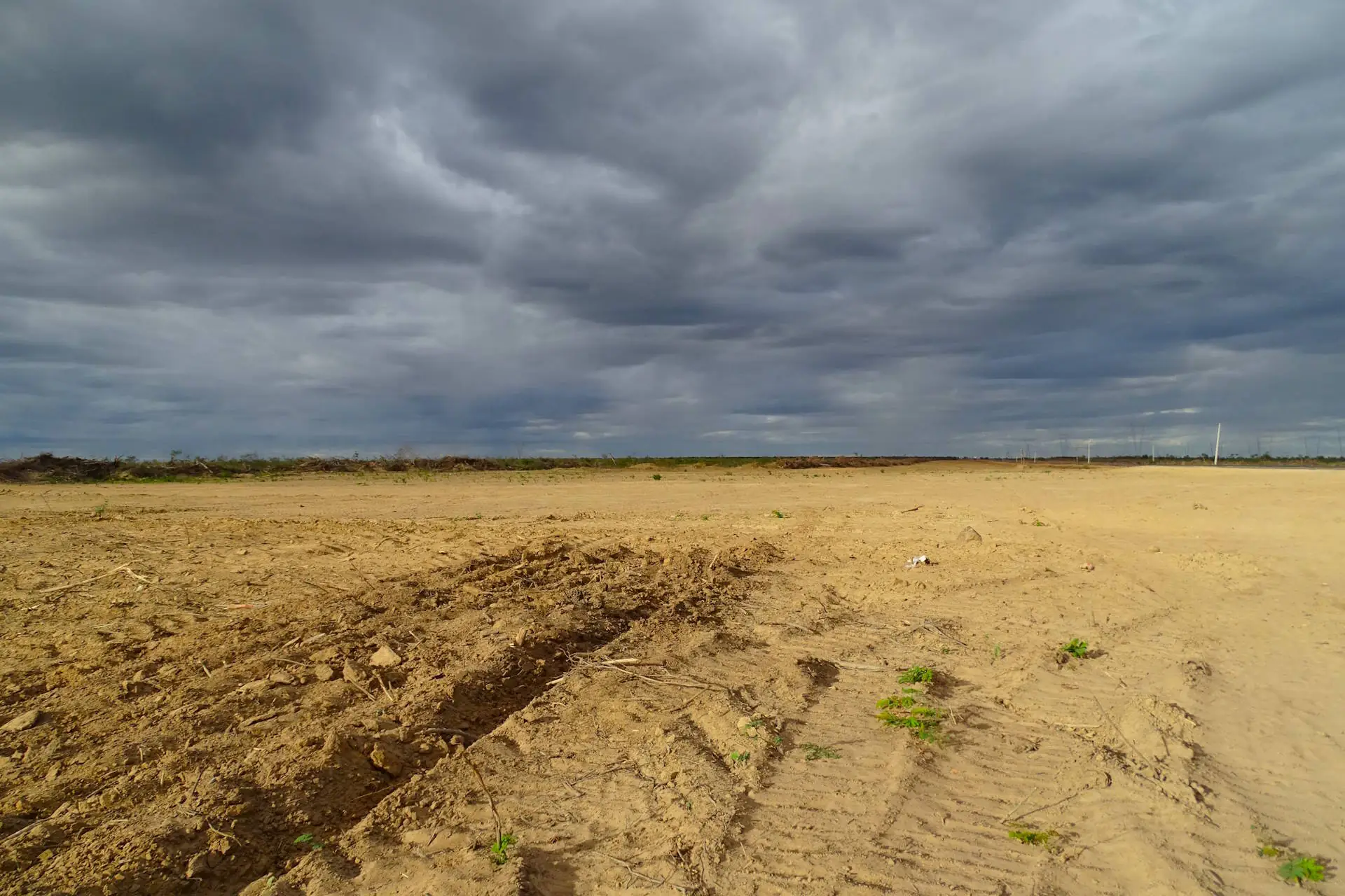 Recorde de desmatamento na Caatinga atinge terras ligadas ao caso Boi Gordo