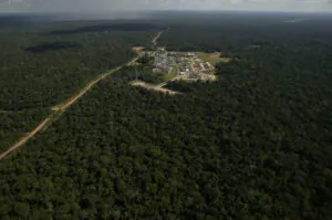 STF invalida parte de lei do Amazonas