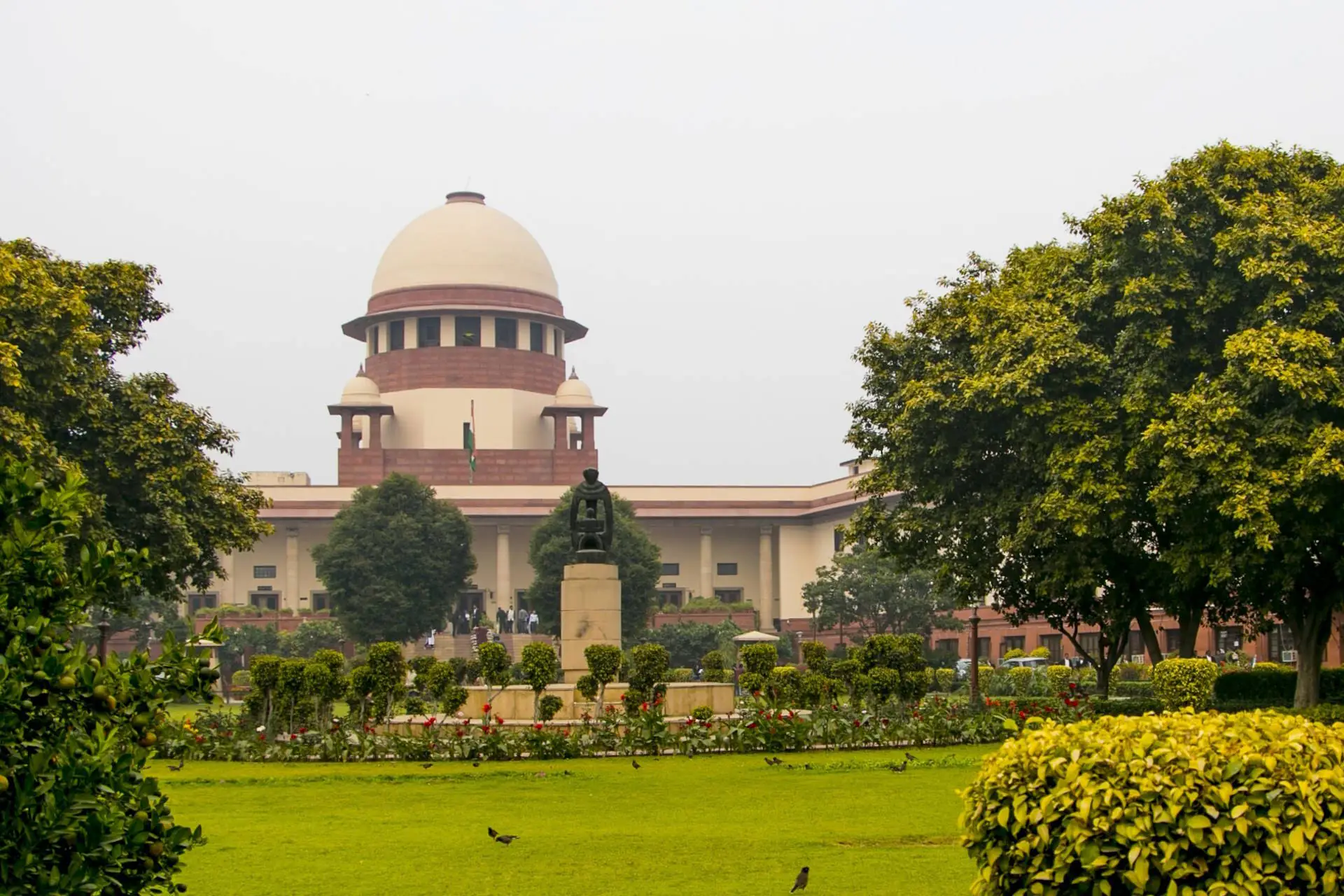 Suprema Corte da Índia absolve megazoo dos Ambani em tempo recorde e gera críticas globais