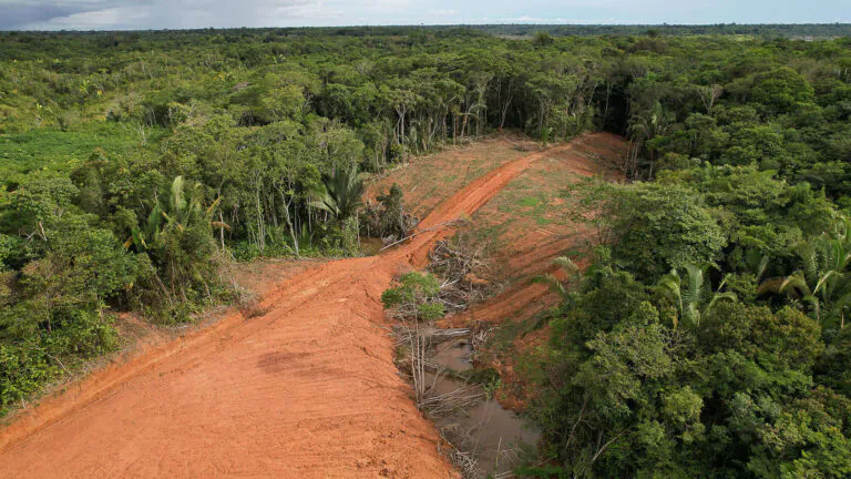 A Avaliação Ambiental Estratégica da BR-319: 3 – o colapso da Floresta Amazônica e a responsabilidade dos participantes