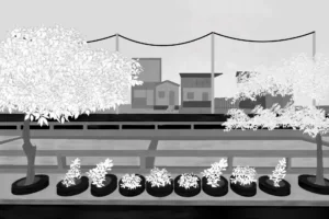 Belém da COP30 ainda nega saneamento e áreas verdes às suas periferias