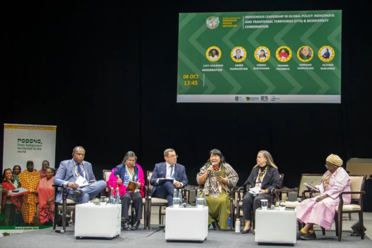 Cúpula mundial inédita reúne povos indígenas em Abu Dhabi