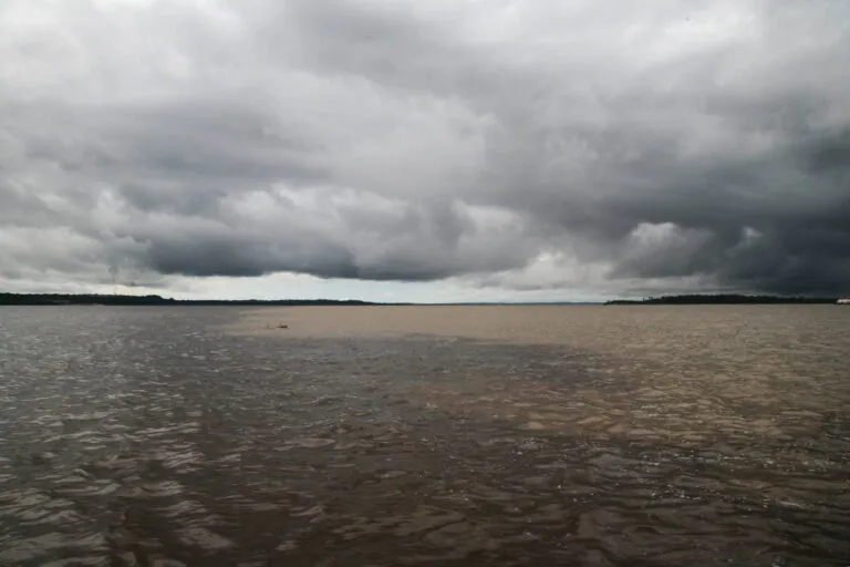 Desinformação climática explode nas redes e mira a COP30, em novembro